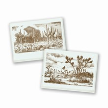 Barney Reid Organic Cotton Variety Pack