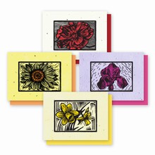 Grow-a-Note® Woodcut Variety Pack