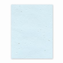 Grow-a-Note® Parsley Seed Sheet Oceana