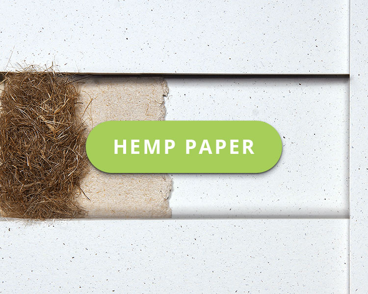 Hemp Paper