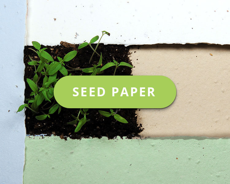 Plantable Seed Paper Holiday Gift Card Holders