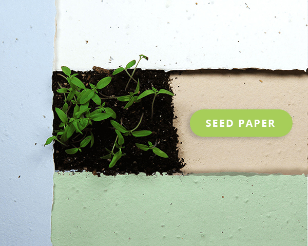 Printing on Specialty Papers: Seed Paper and Handmade Paper